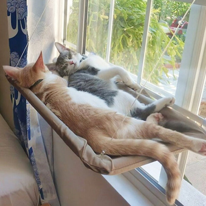 ZALOPA - Cat Window Hammock - 20kg Suction Heavy-Duty