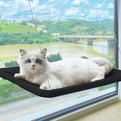 ZALOPA - Cat Window Hammock - 20kg Suction Heavy-Duty
