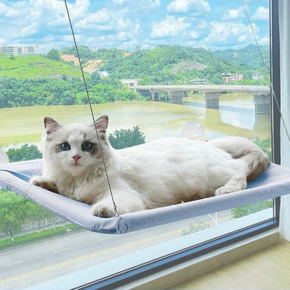 ZALOPA - Cat Window Hammock - 20kg Suction Heavy-Duty